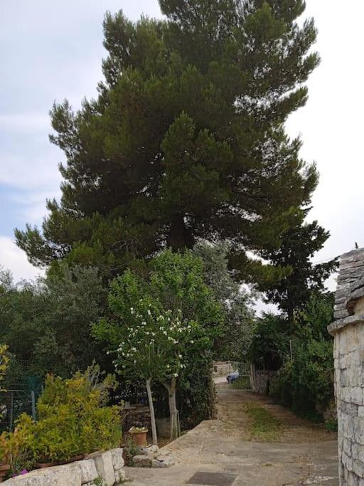 Gasphouse Villa Castellana Grotte Bagian luar foto