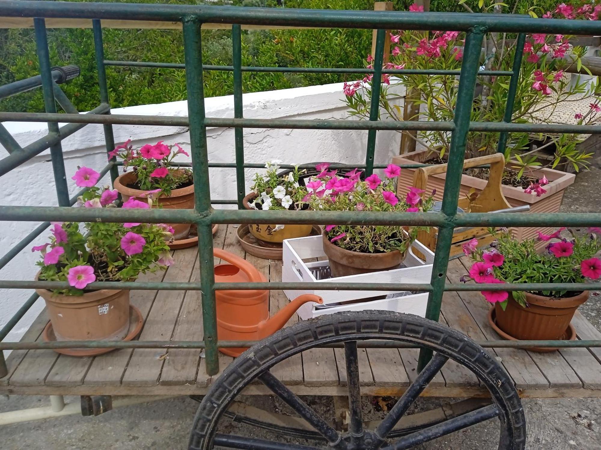 Gasphouse Villa Castellana Grotte Bagian luar foto